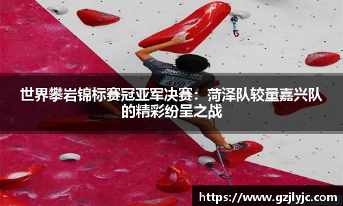 世界攀岩锦标赛冠亚军决赛：菏泽队较量嘉兴队的精彩纷呈之战
