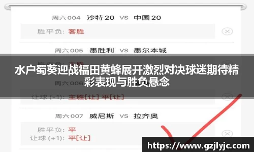 水户蜀葵迎战福田黄蜂展开激烈对决球迷期待精彩表现与胜负悬念